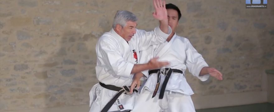 karate bunkai ceinture noire