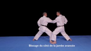 kihon karate ceinture jaune osae uke