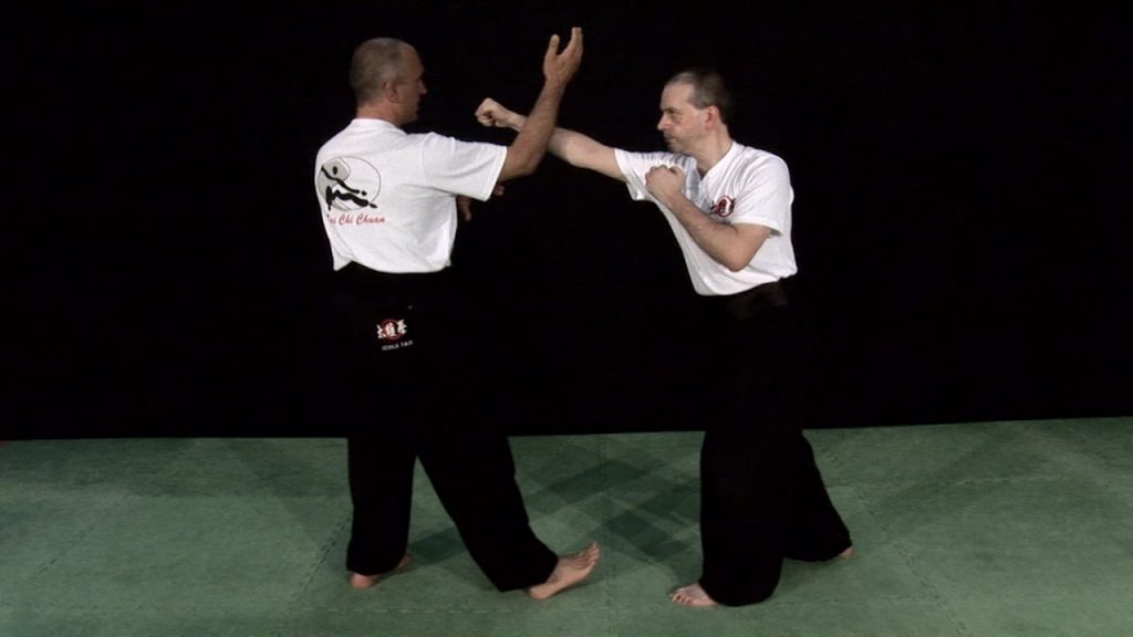 taichi yang forme 108 mouvements 2