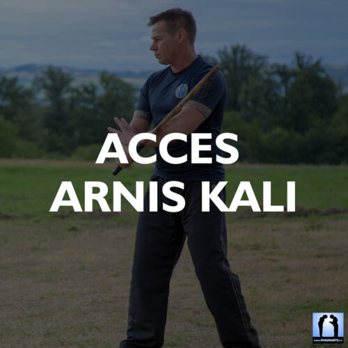 Accès Arnis Kali Eskrima