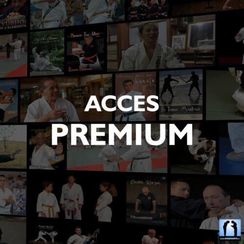 Accès PREMIUM Annuel