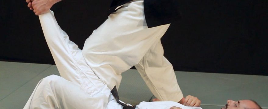les armes du corps humains – kyusho les armes du corps humains - kyusho