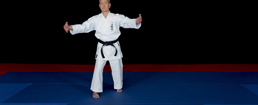 kanchin kata bunkai karate uechi ryu