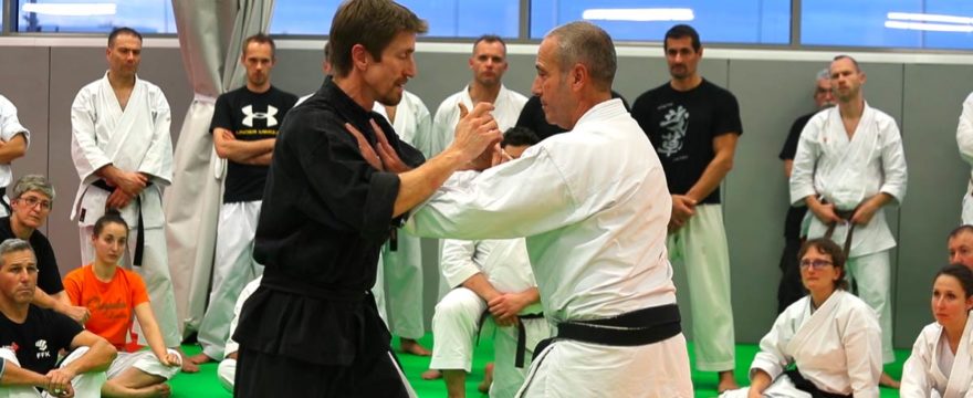 yi-quan-michel-tournerie-video stage yi quan michel tournerie vidéo 2019