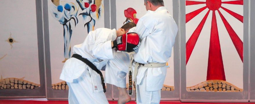 heian yodan bunkai pao heian yodan bunkai pao video