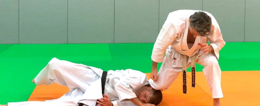 shiho-nage-karate-bunkai shiho-nage-karate-bunkai