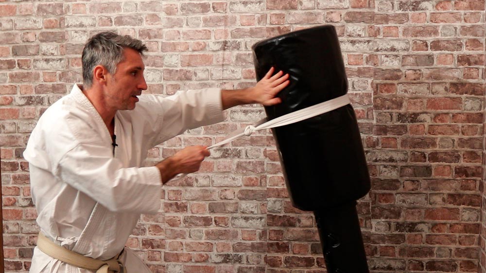 bunkai-sac bunkai-sac