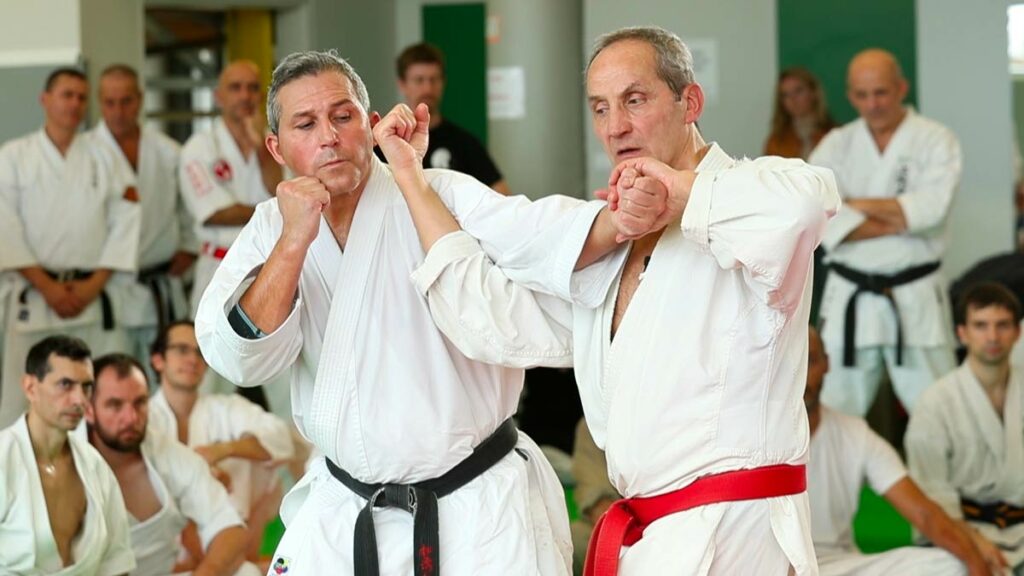 bernard-bilicki-karate