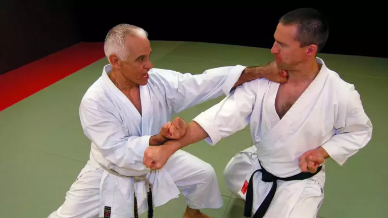 Shotokan