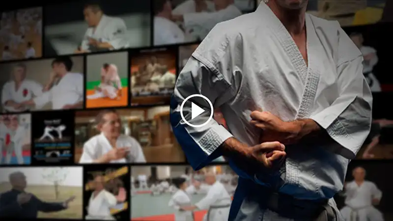 la plateforme vidéo d'arts martiaux - ton allié en dehors de ton dojo